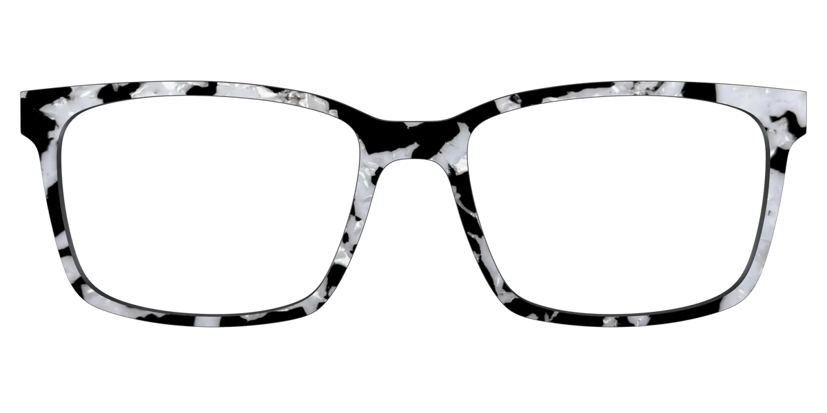 The Black & White Pearl Tortoise