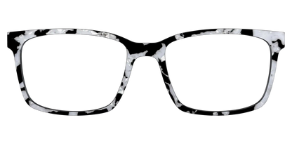 The Black & White Pearl Tortoise