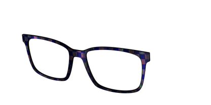 The Black Holographic Check