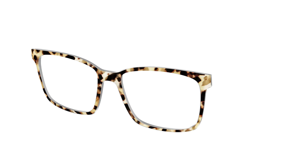 The Brown Sugar Tortoise