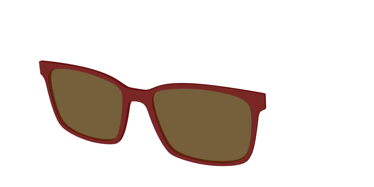 The Polarized Burgundy Sun Top