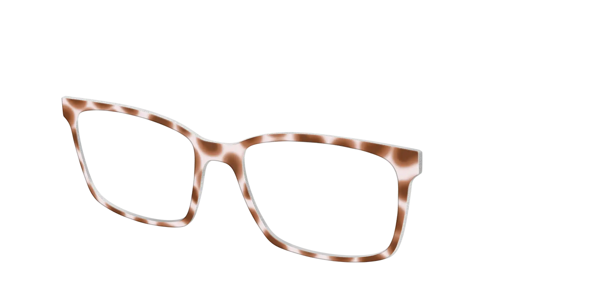 The Caffé Tortoise