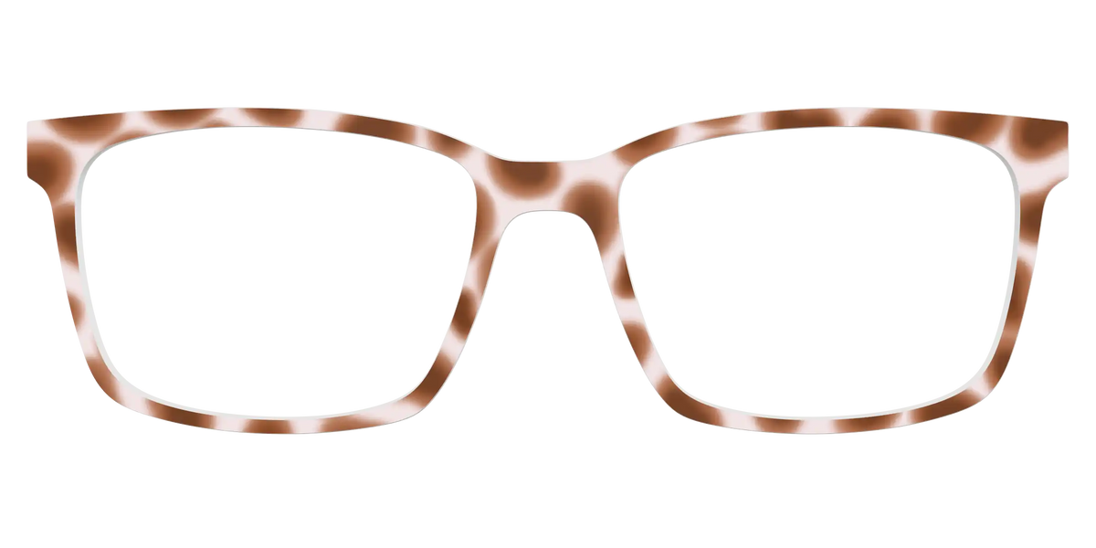 The Caffé Tortoise
