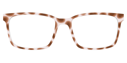 The Caffé Tortoise
