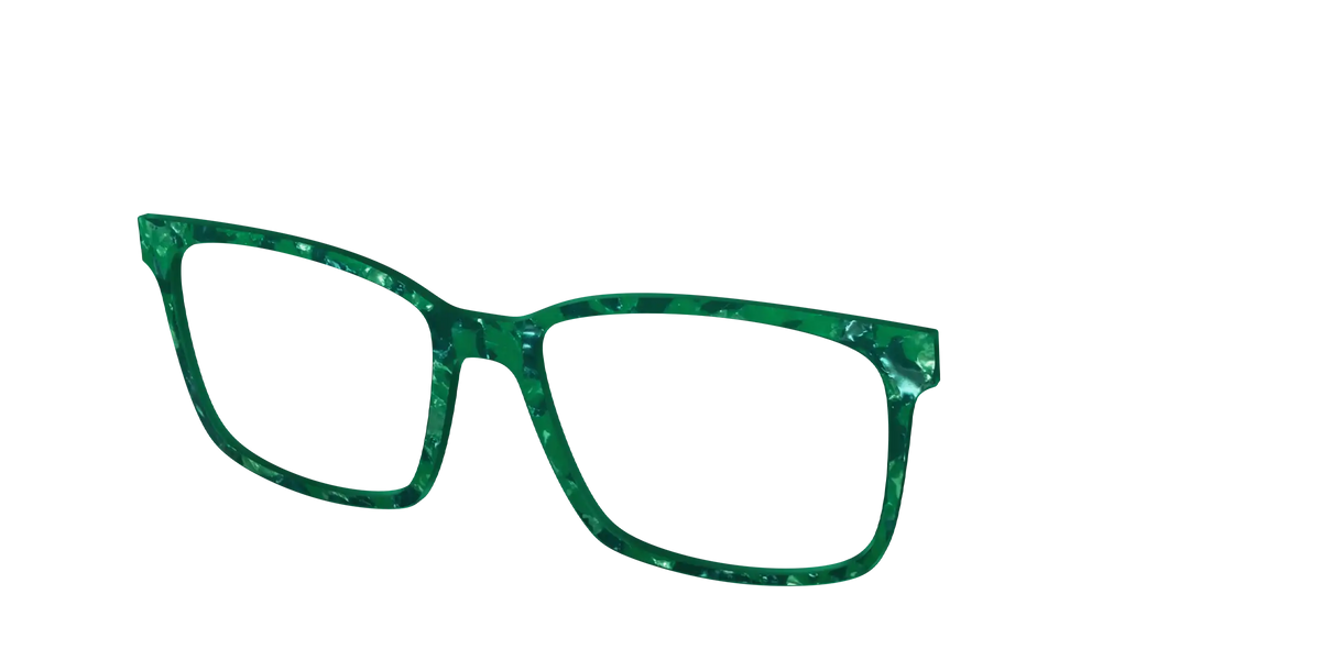 The Emerald Pearl Tortoise