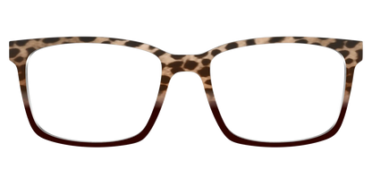 The Jungle Cat Tortoise