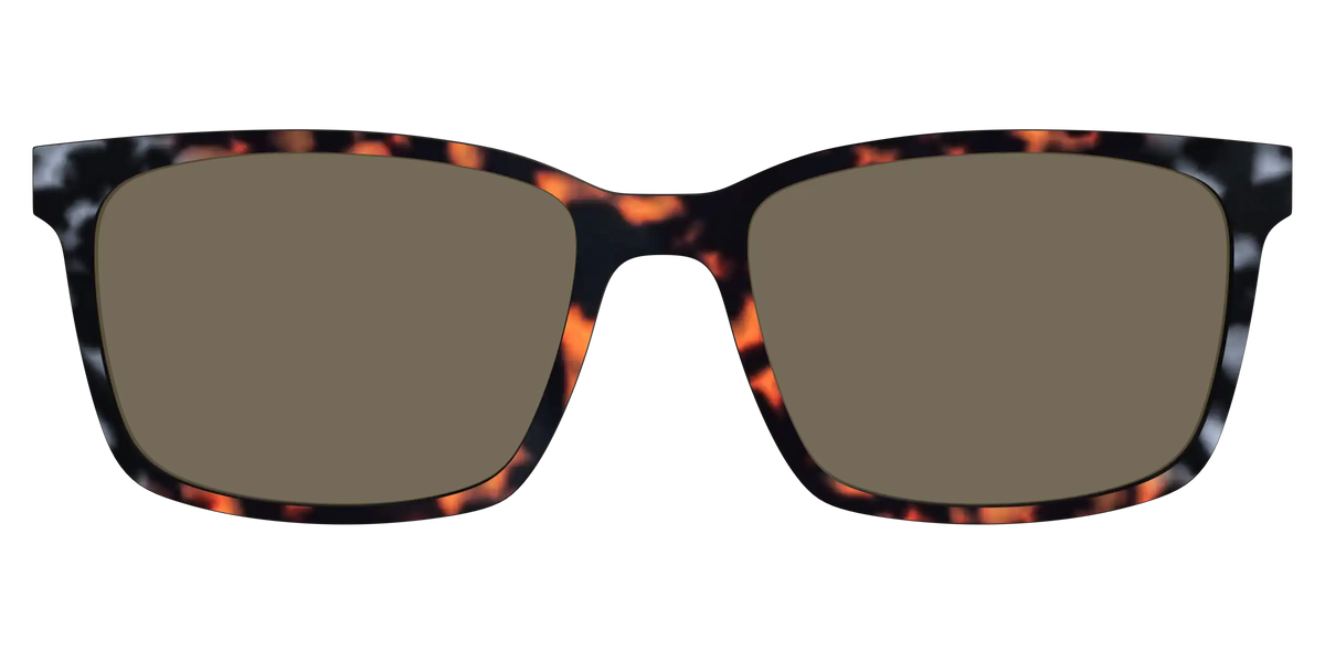 The Polarized Gray & Amber Tortoise Sun Top