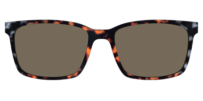 The Polarized Gray & Amber Tortoise Sun Top