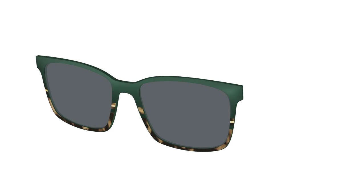 The Polarized Spruce Tortoise Sun Top