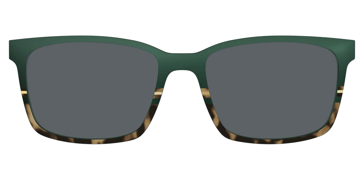 The Polarized Spruce Tortoise Sun Top