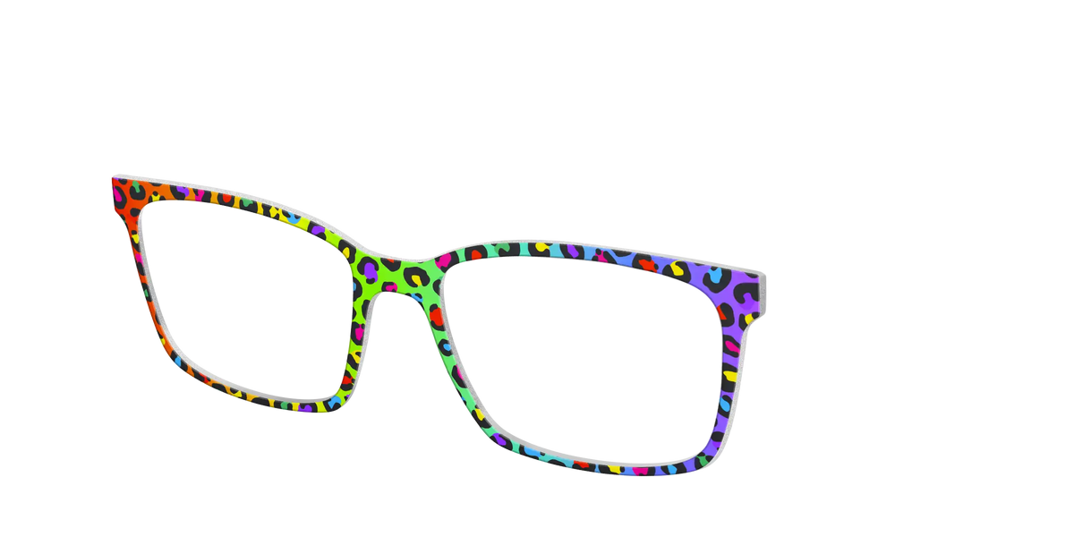 The Rainbow Cheetah