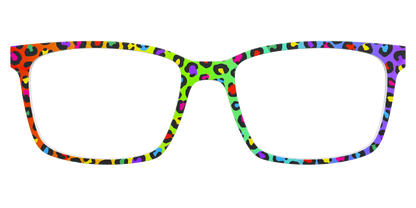 The Rainbow Cheetah
