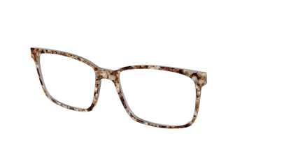The Sandstone Tortoise
