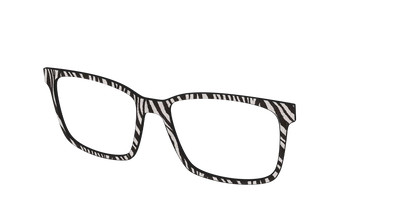 The Zebra Stripes
