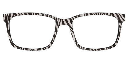 The Zebra Stripes