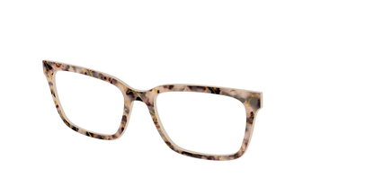 The Almond Tortoise with Gold Streaks