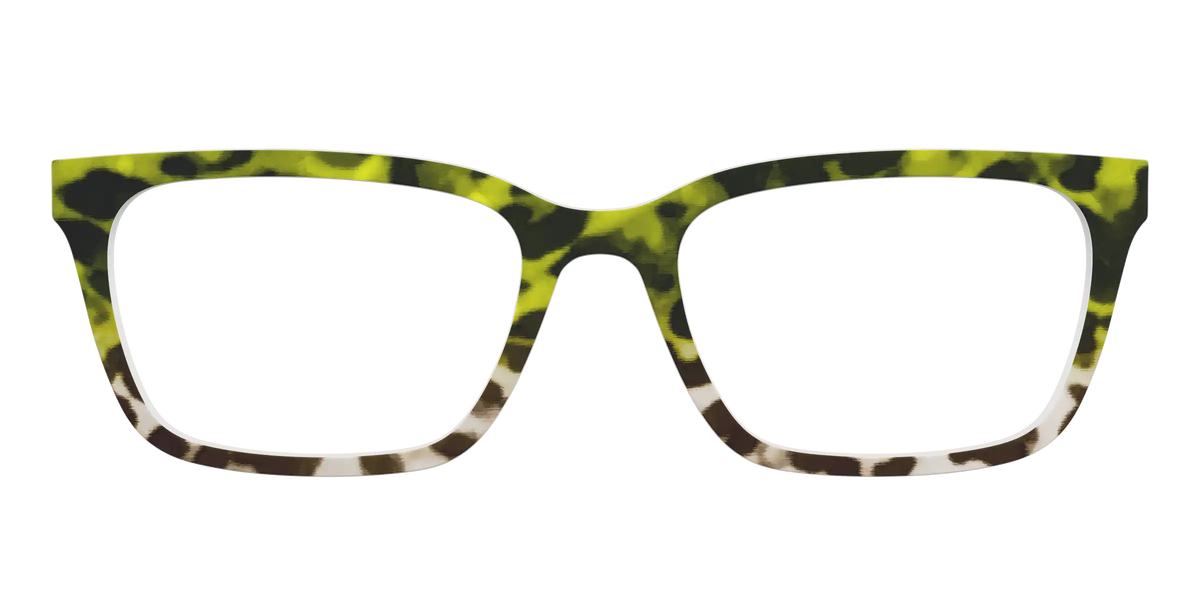 The Avocado to Ivory Tortoise