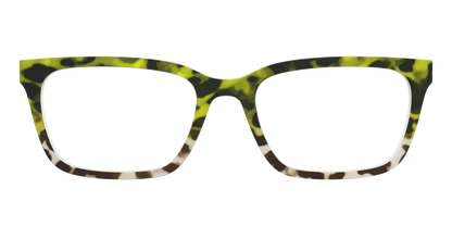 The Avocado to Ivory Tortoise