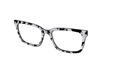 The Black & White Pearl Tortoise