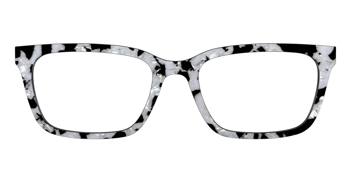 The Black & White Pearl Tortoise