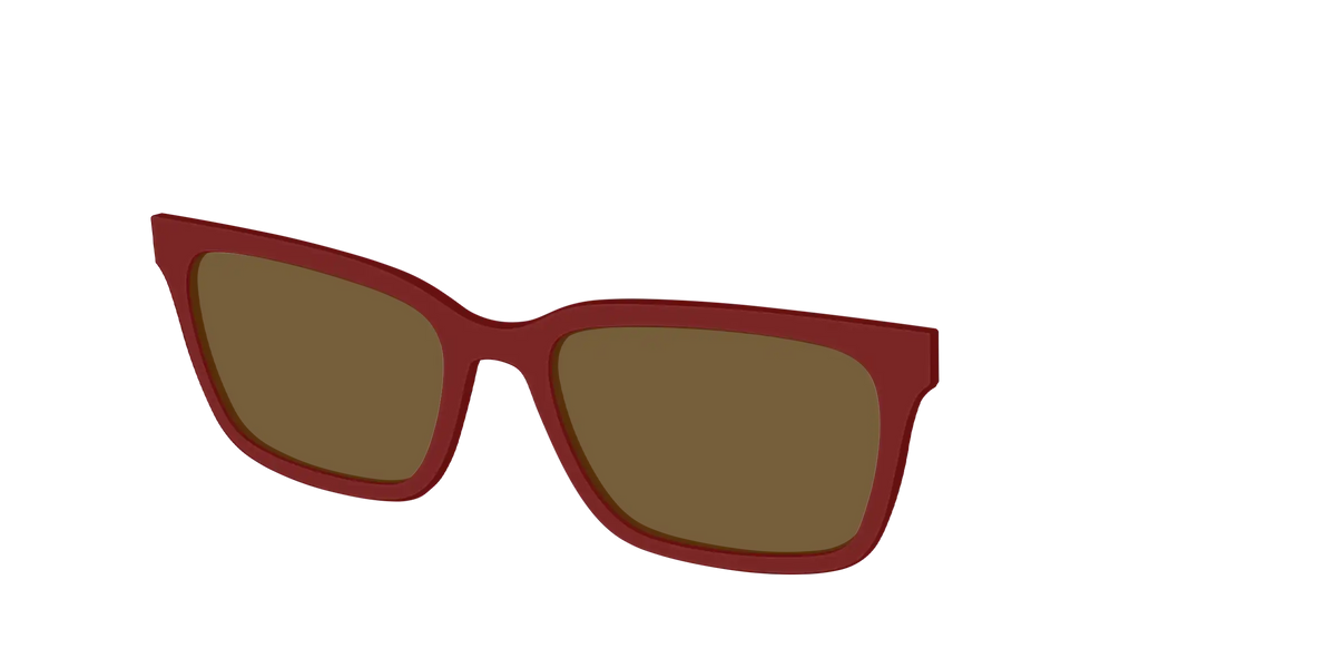 The Polarized Burgundy Sun Top