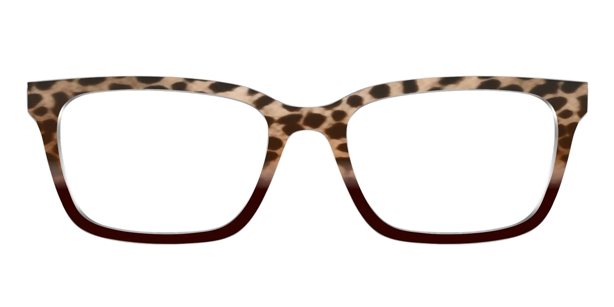 The Jungle Cat Tortoise