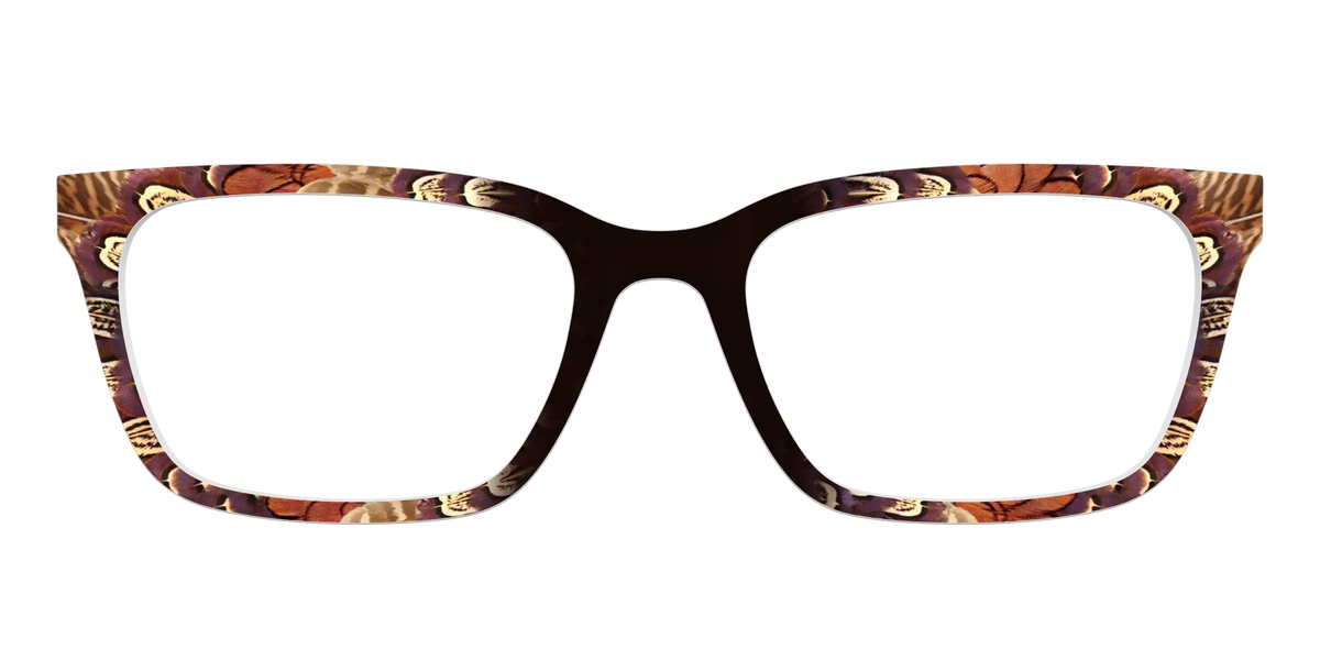 The Pheasant Feathers