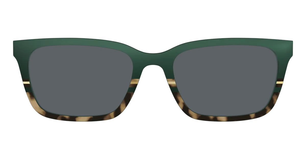 The Polarized Spruce Tortoise Sun Top