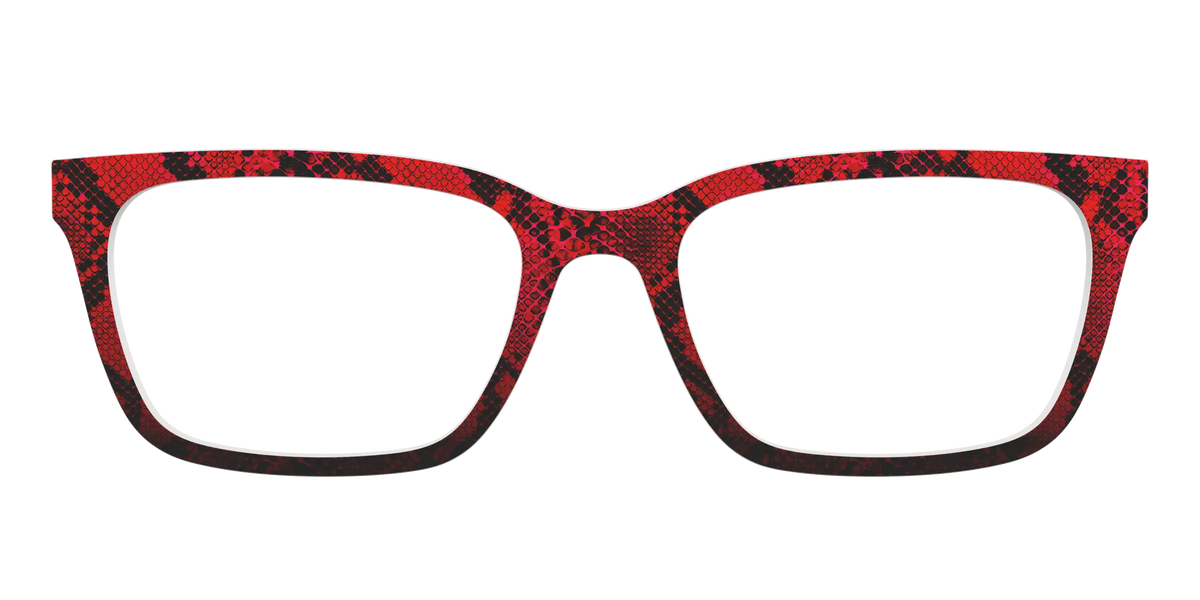 The Statement Snakeskin
