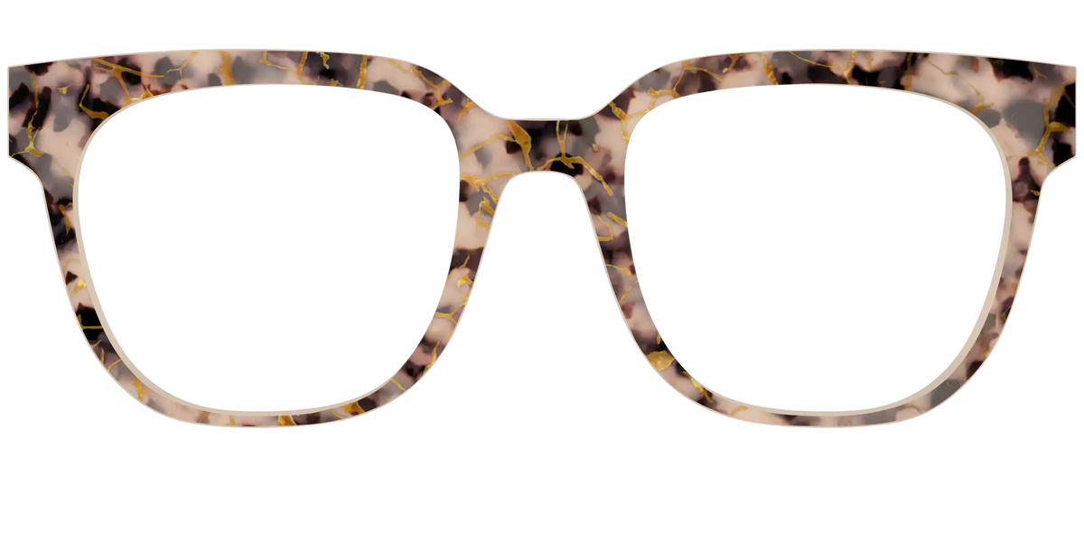 The Almond Tortoise with Gold Streaks
