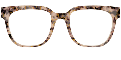 The Almond Tortoise with Gold Streaks