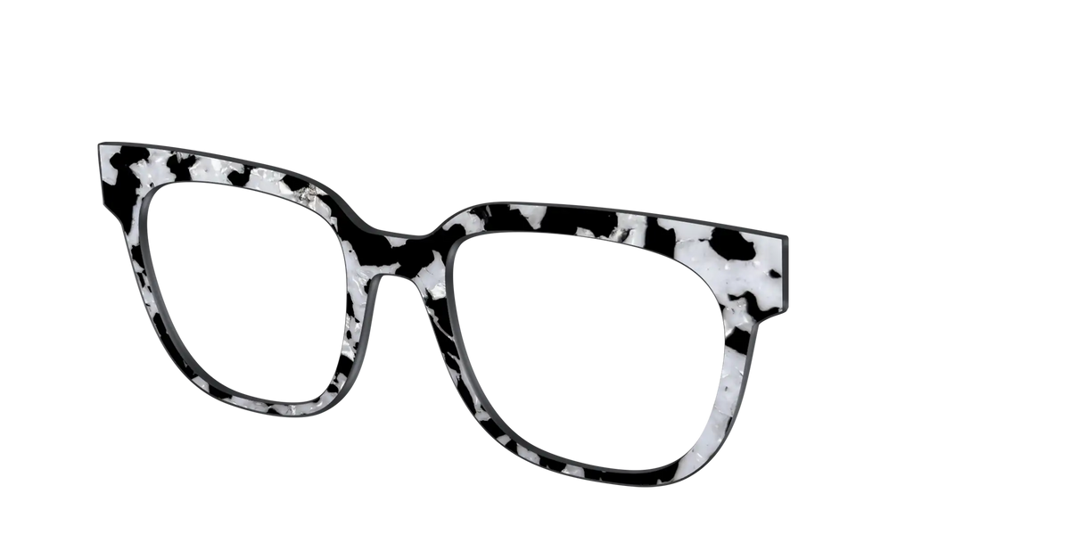 The Black & White Pearl Tortoise