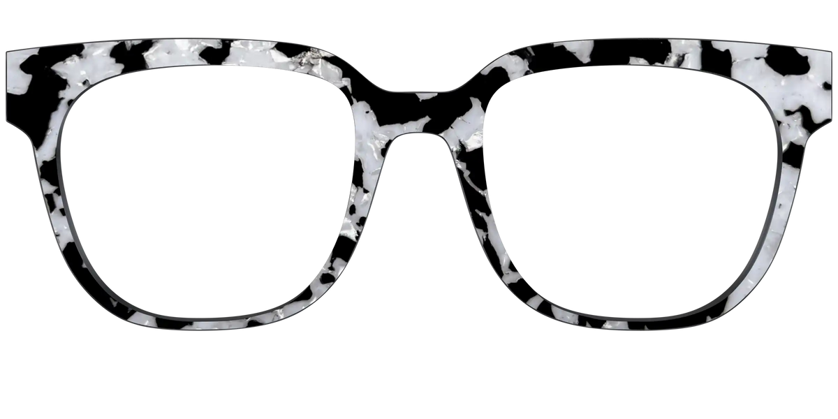 The Black & White Pearl Tortoise