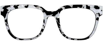 The Black & White Pearl Tortoise
