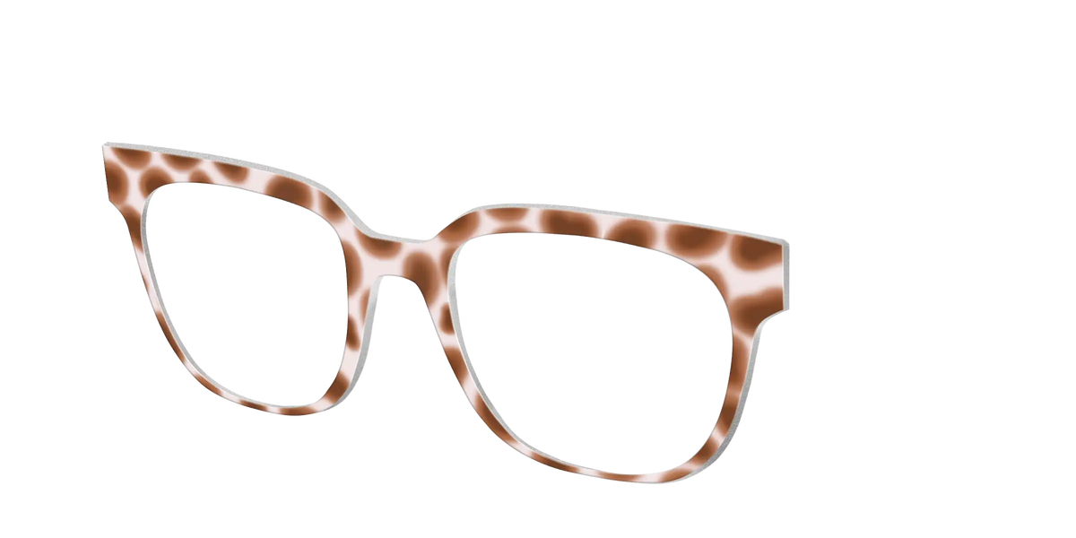 The Caffé Tortoise