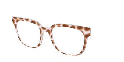 The Caffé Tortoise