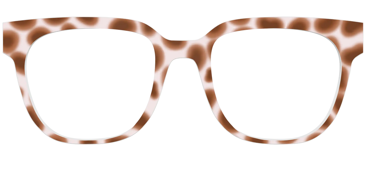 The Caffé Tortoise