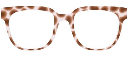 The Caffé Tortoise
