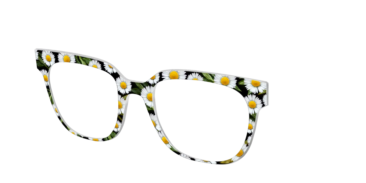 The Delicate Daisies
