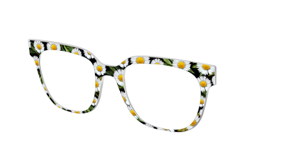The Delicate Daisies