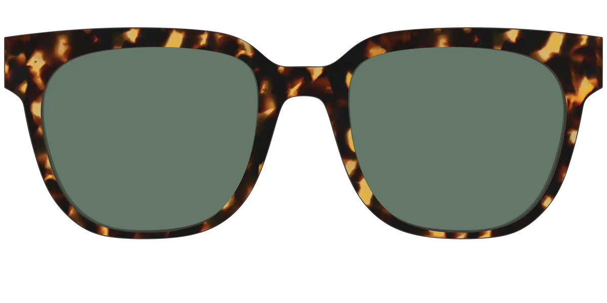 The Non-Polarized Green Tortoise Sun Top