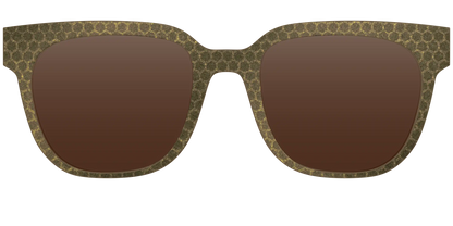 The Polarized Honeycomb Sun Top