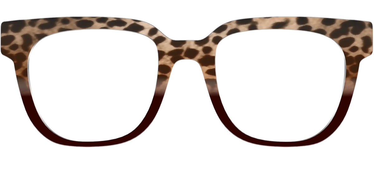 The Jungle Cat Tortoise