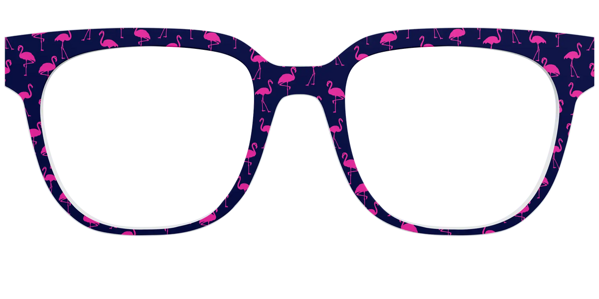 The Navy Flamingos