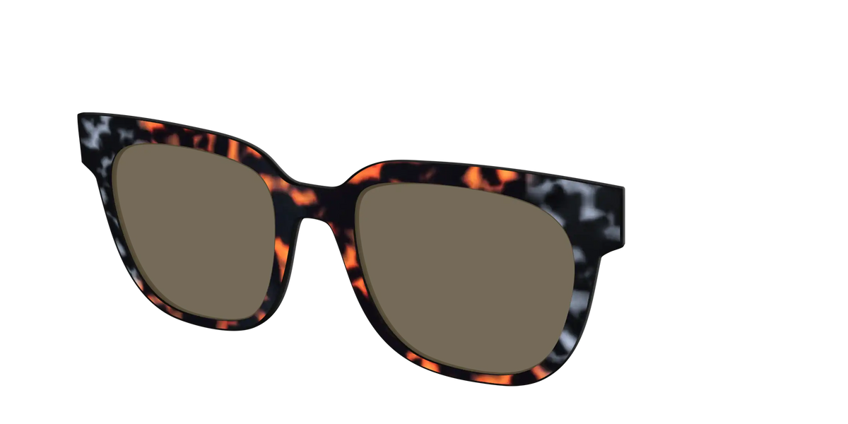 The Polarized Gray & Amber Tortoise Sun Top