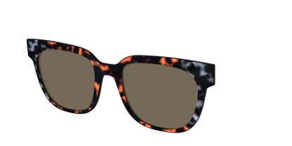 The Polarized Gray & Amber Tortoise Sun Top