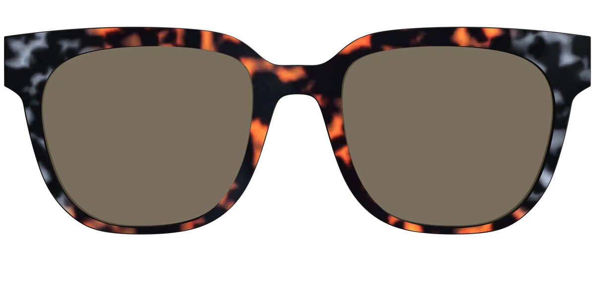 The Polarized Gray & Amber Tortoise Sun Top