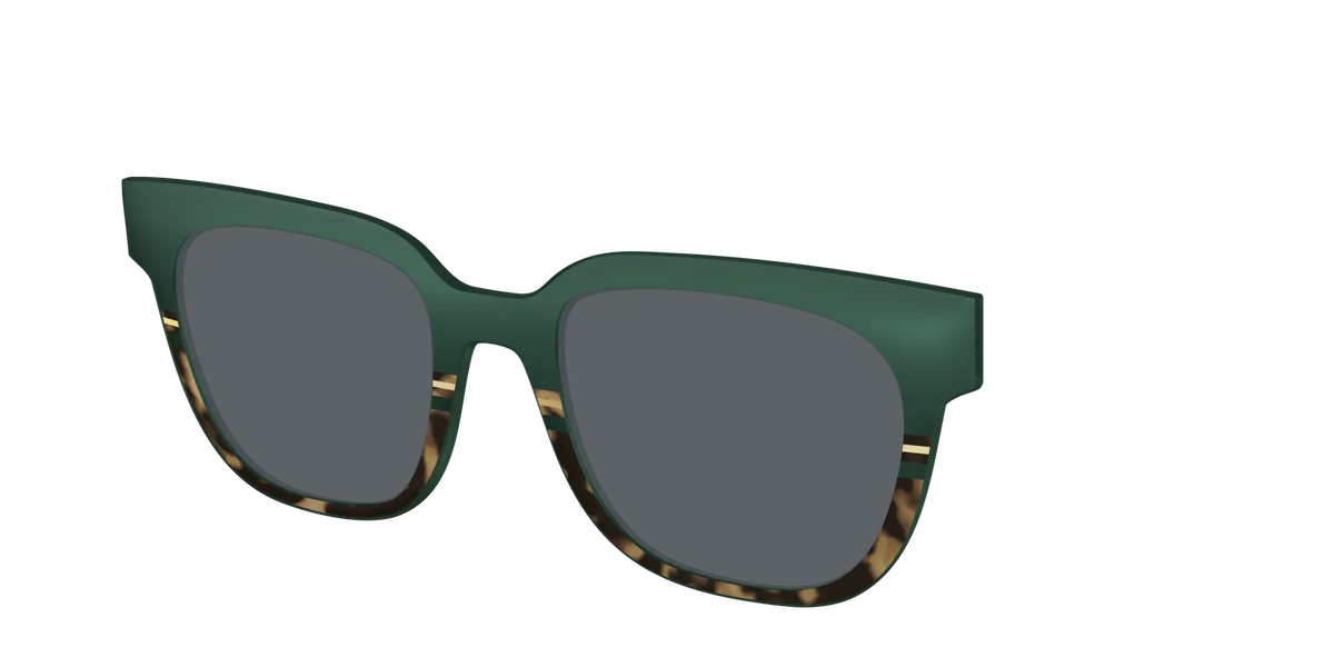 The Polarized Spruce Tortoise Sun Top