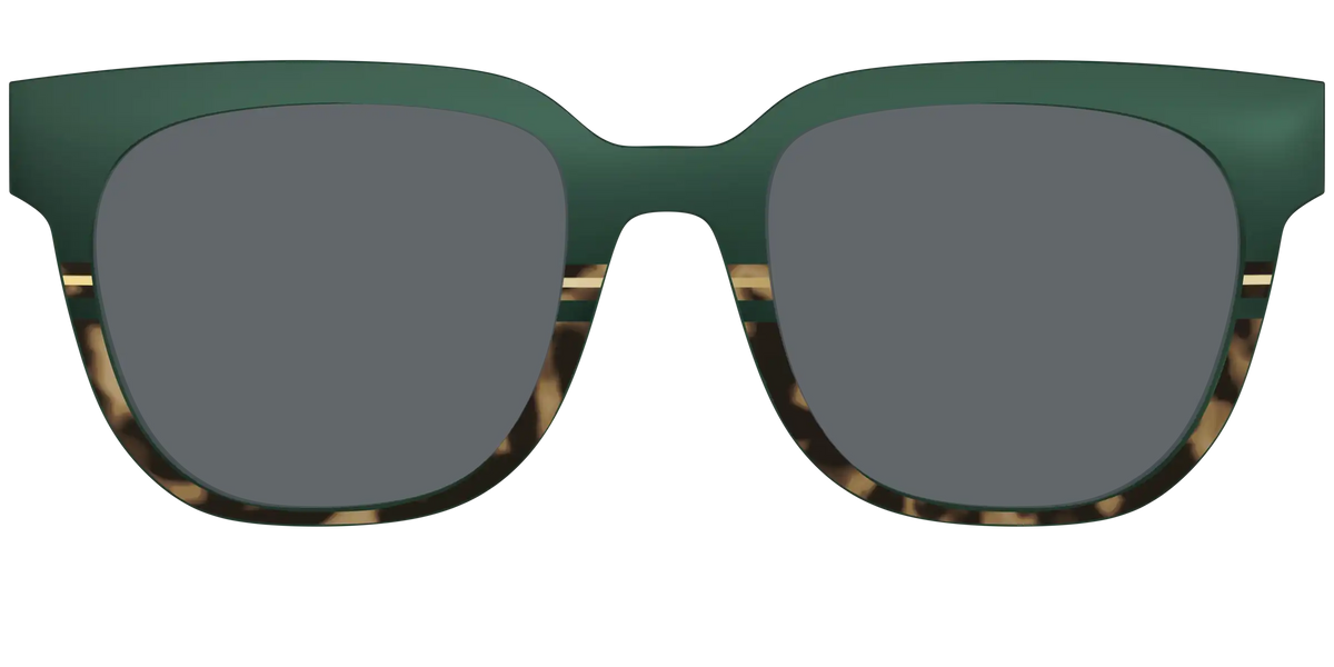 The Polarized Spruce Tortoise Sun Top