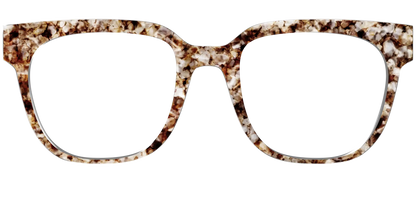 The Sandstone Tortoise